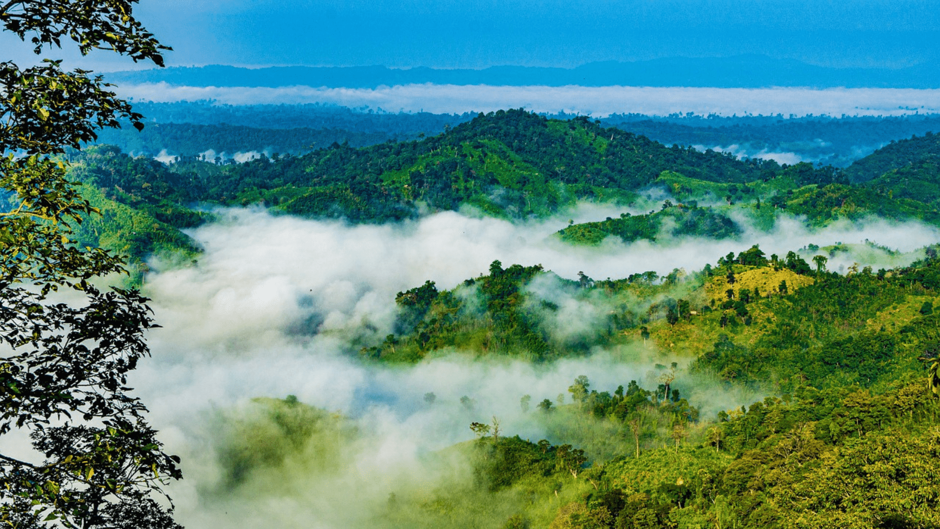 Scenic view of Sajek Valley